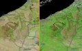 Winter Rains Transform Moroccan Landscape, NASA Satellite Images Show