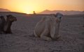 WMO Forecasts Above-Average Temperatures for Morocco in Coming Months