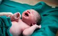 Woman Gives Birth on Moroccan Train, Passengers and Staff Assist in Delivery