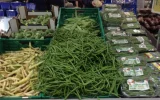 Moroccan green beans sold in Germany contained 4.5 times too much pesticide