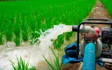 In Morocco, farmers will henceforth be monitored down to their water pumping