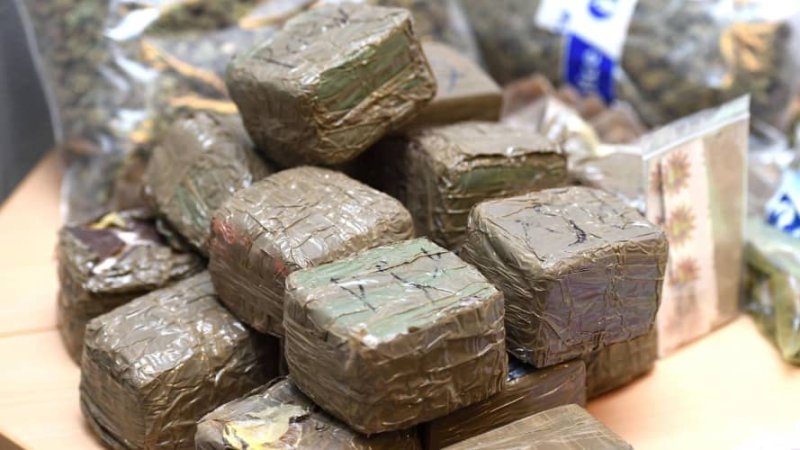Record-Breaking Cannabis Seizure in Brussels: 11.5 Tons from Morocco, Suspects Still at Large