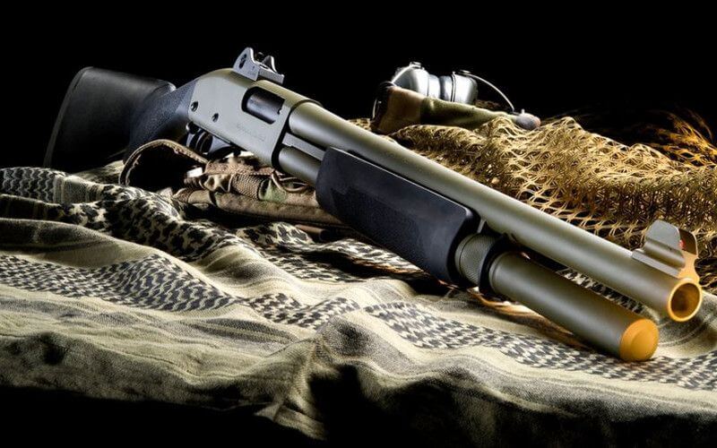 8-Year-Old Girl Shot During Stray Dog Culling Operation in Fez, Morocco
