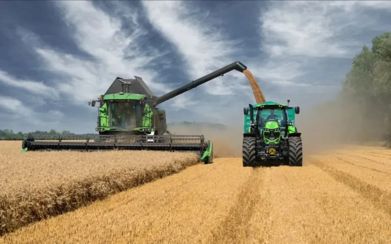 After Seven Years of Drought, Morocco Achieves Record Cereal Harvest of 90 Million Quintals