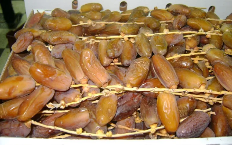 Alert on fake "Moroccan" dates