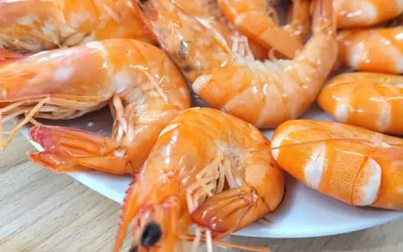 EU Alerts: Salmonella-Contaminated Moroccan Shrimp Intercepted in Spain
