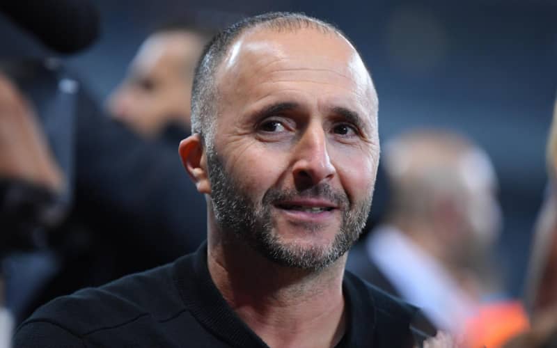 Algeria Coach Belmadi Backs Morocco for 2022 World Cup Success