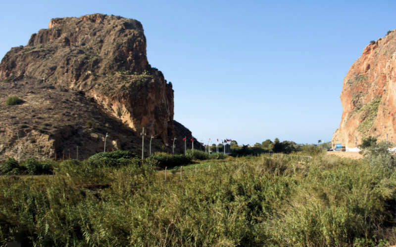 Algeria Erects Iron Fence Along Moroccan Border, Heightening Tensions