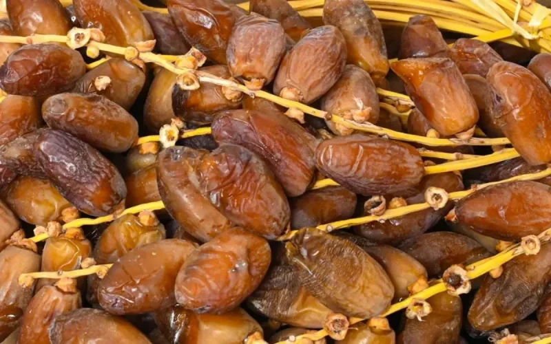 Algerian dates in Morocco under surveillance