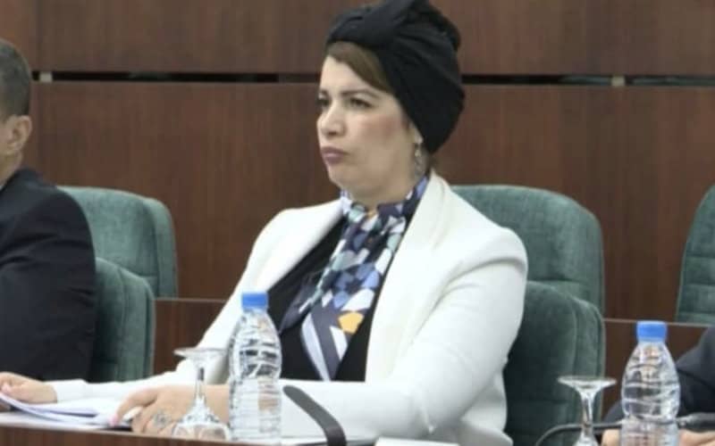 Algeria's Culture Minister Subtly Responds to Morocco in Fennecs Jersey Dispute