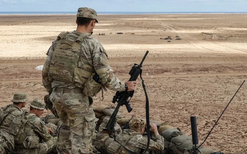 American Military Officer Found Morocco Tan-Tan African Lion