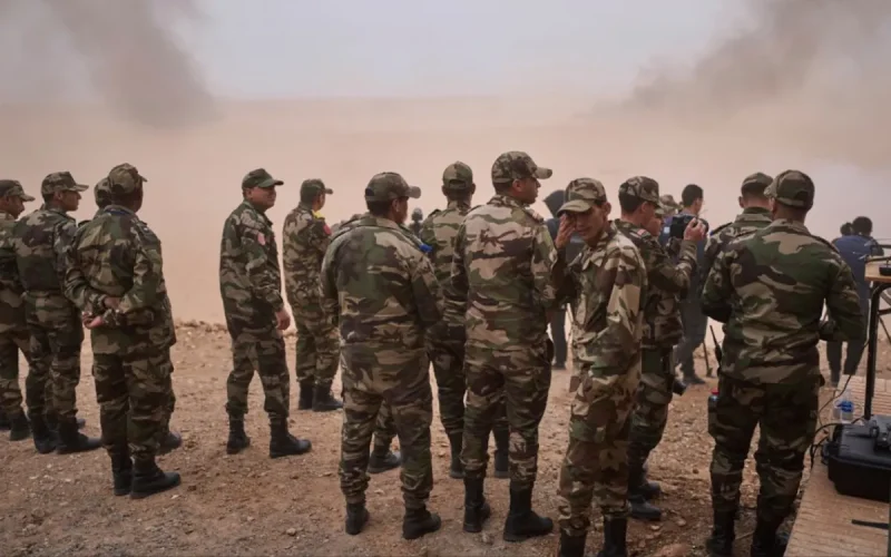 American Soldier Recovered Morocco African Lion 2026