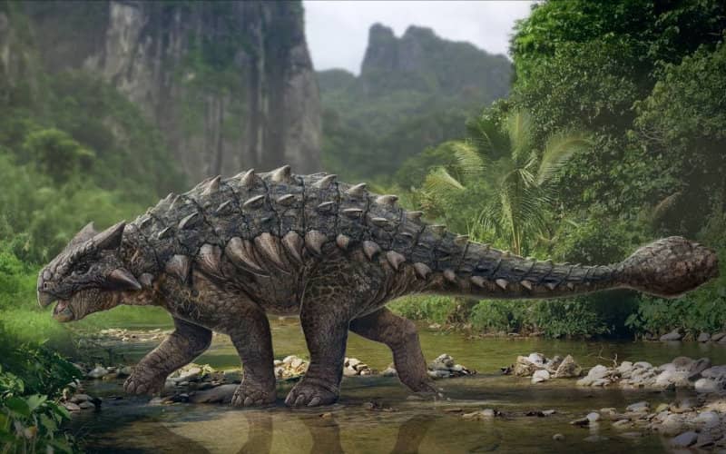 Ancient Armored Dinosaur Unearthed in Morocco's Middle Atlas Mountains