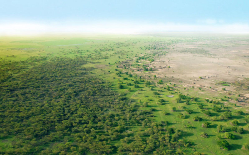 Ancient "Green Sahara" Discovery Reveals Lush Past of North Africa