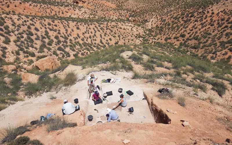 Ancient Macaque Fossil Reveals Diet and Habitat in 2.5-Million-Year-Old Morocco