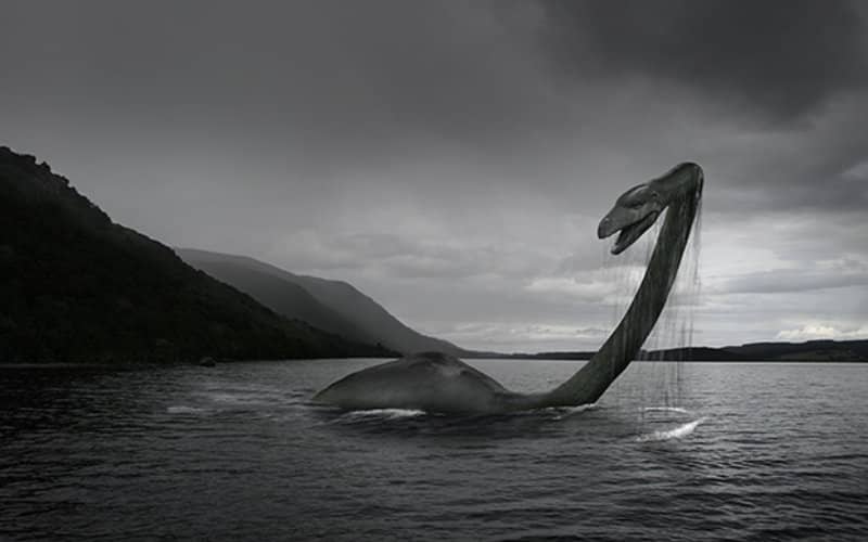 Ancient Plesiosaur Fossils Found in Sahara Reignite Loch Ness Monster Debate