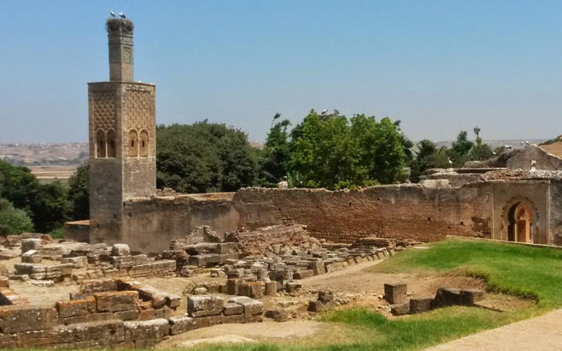 Ancient Roman Port District Unearthed in Morocco's UNESCO Site