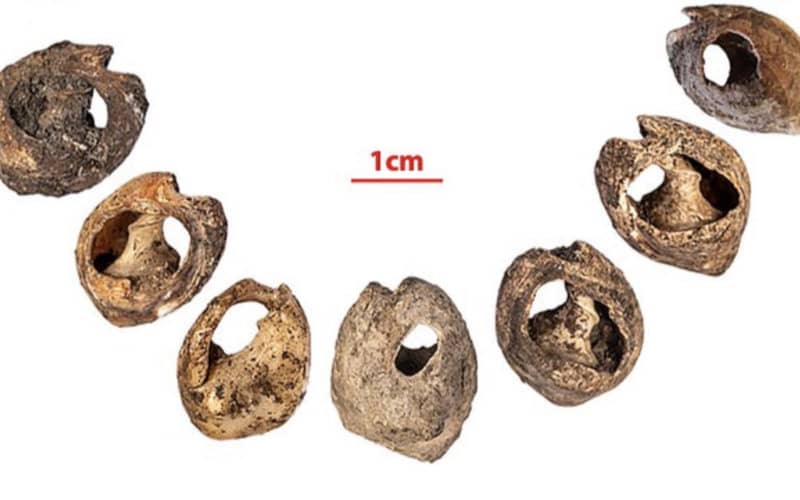 Ancient Shell Beads Found in Morocco May Be World's Oldest Jewelry at 150,000 Years Old
