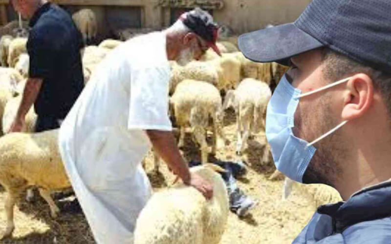 Morocco Urges Caution for Eid Al-Adha Gatherings Amid COVID-19 Surge