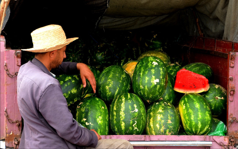 Morocco Pushes for Rapid Implementation of Mandatory Health Insurance for Self-Employed