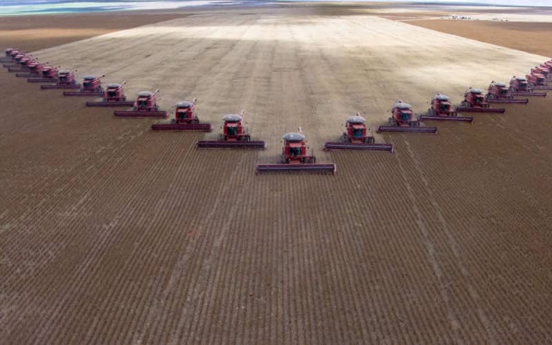 Morocco's Phosphate Key to Brazil's Agricultural Expansion Plans