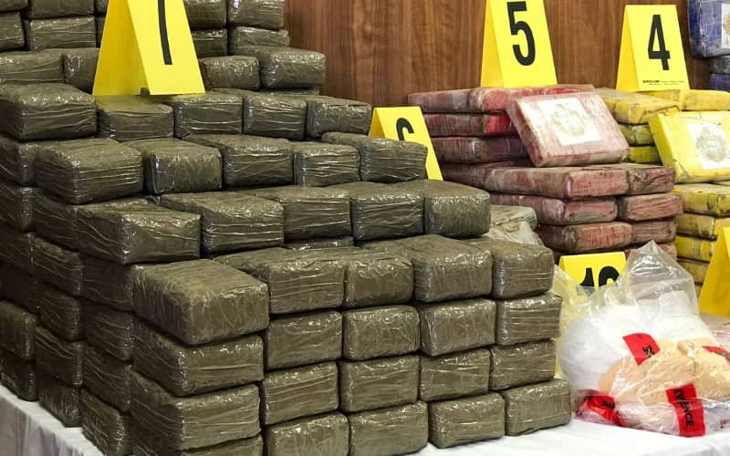 Drug Kingpin with 40 Warrants Captured in Moroccan Forest Hideout