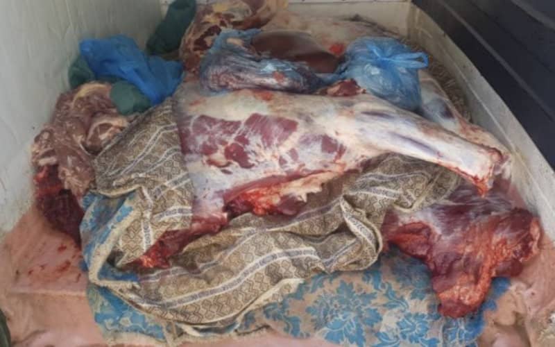 Gendarmerie Seizes 3.5 Tons of Tainted Meat Bound for Moroccan Markets
