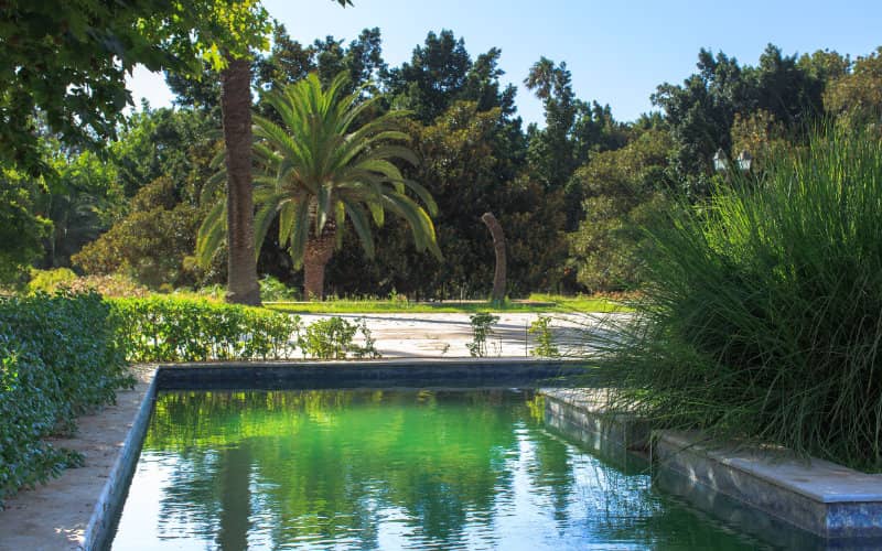 Rabat Invests 660 Million DH in Sustainable Water Solution for Expanding Green Spaces