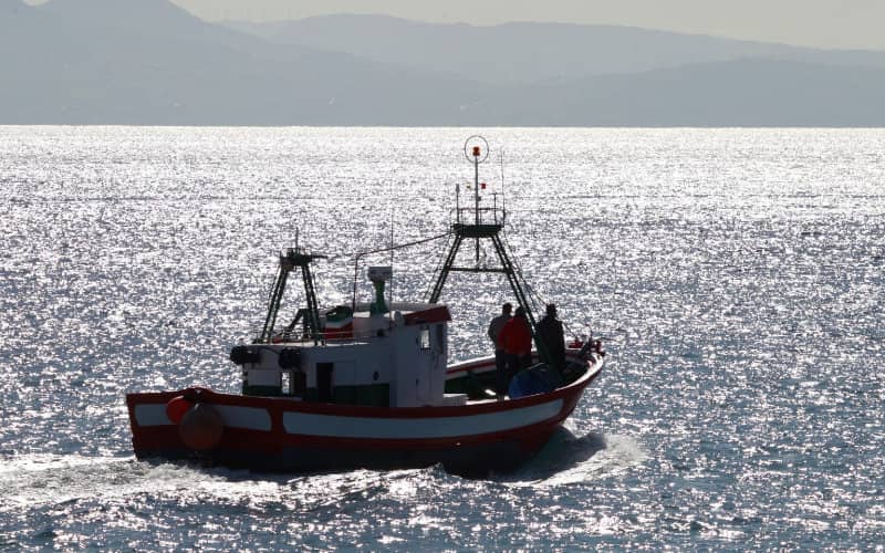 Moroccan Migrants Arrested for Kidnapping Fisherman, Hijacking Boat in Lanzarote