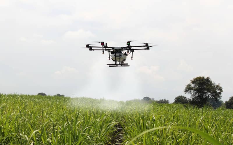 Morocco Embraces Drone Technology to Modernize Agriculture Sector