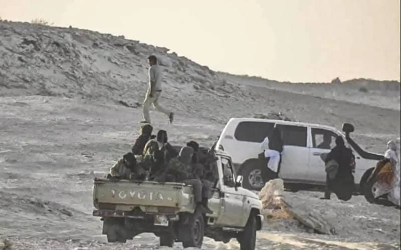 Expert: Morocco-Polisario War Unlikely, Conflict with Algeria More Plausible