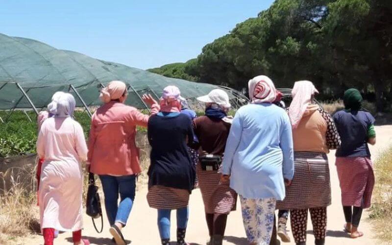 Spain Prioritizes Moroccan Workers for Agricultural Season Amid COVID Protocols