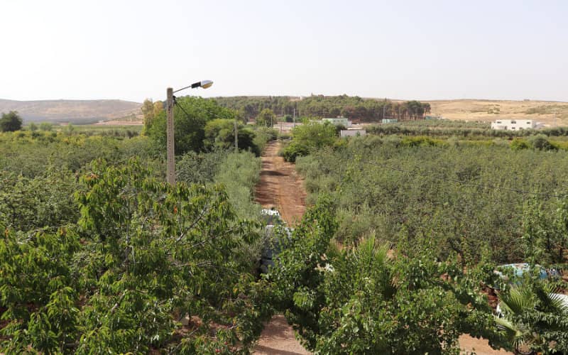 Morocco Court Sentences Four to 17 Years for Attempted Land Theft in El Jadida
