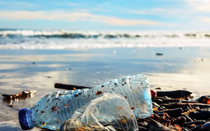 Mediterranean Faces Environmental Crisis: Study Warns of Rising Deaths and Climate Threats