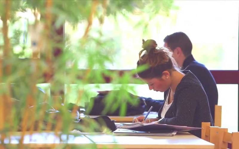 Moroccan Students at French University Struggle with Isolation and Mental Health During Pandemic