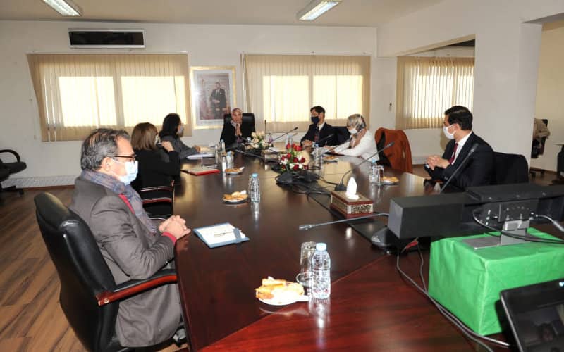 Morocco Unveils Plan to Boost Diaspora Investment and Economic Ties