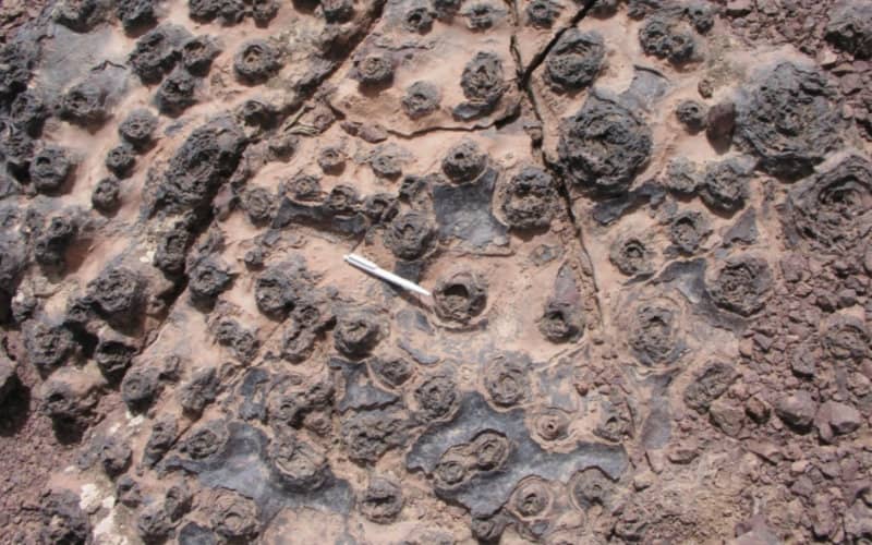 Ancient Microbial Life Discovered in Morocco, Sparks NASA Interest