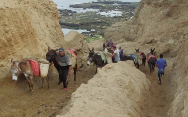 Illegal Sand Mining Threatens Morocco's Coastline and Environment