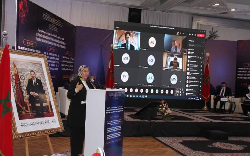 Morocco Aims to Attract 10,000 Skilled Expatriates by 2030 for National Development
