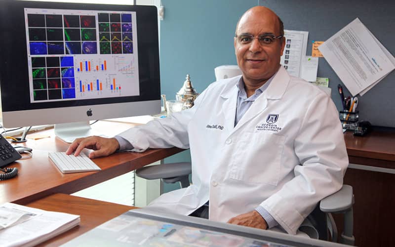 Moroccan Mushroom Compound Shows Promise in Fighting Aggressive Breast Cancer