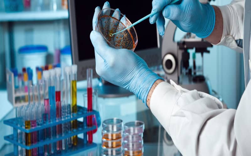 Morocco Advances Biomedical Research with New Regulations on Clinical Trials