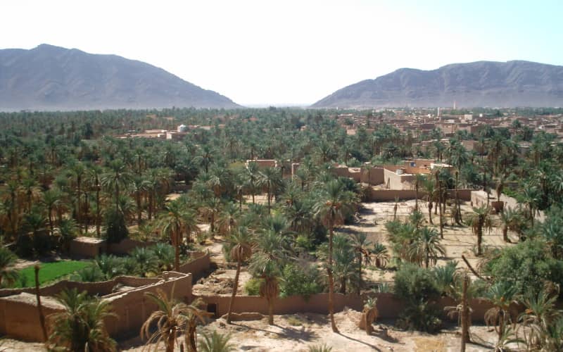 Moroccan-Algerian Border Tensions Disrupt Ancient Oasis Farming in Figuig