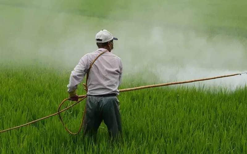 Morocco Moves to Tighten Pesticide Regulations Following Audit Report