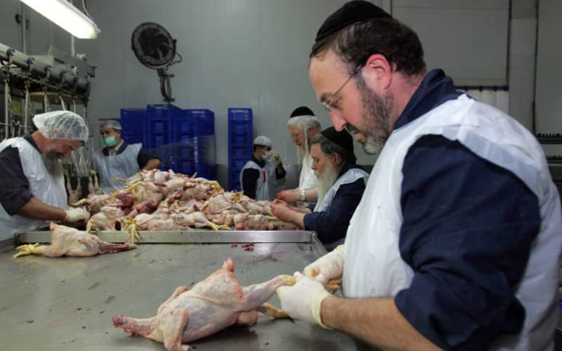 Morocco Aims to Boost Exports with New Kosher Certification Partnership