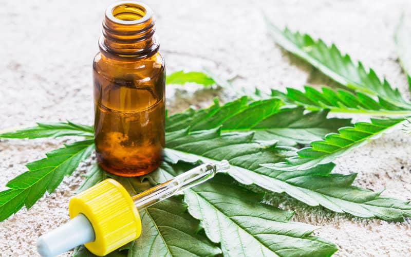 Survey: Majority of Moroccans Support Medical and Industrial Cannabis Use