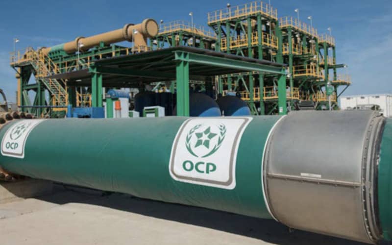 Moroccan Phosphate Giant OCP Challenges US Fertilizer Import Duties in Court