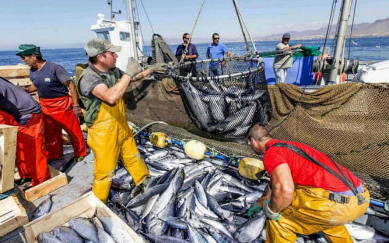 Spain-Morocco Tensions Threaten EU Fishing Agreement, Spanish Fishermen Worry