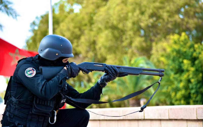 International Drug Ring Busted in Tangier: 11 Arrested, Including Foreign Nationals