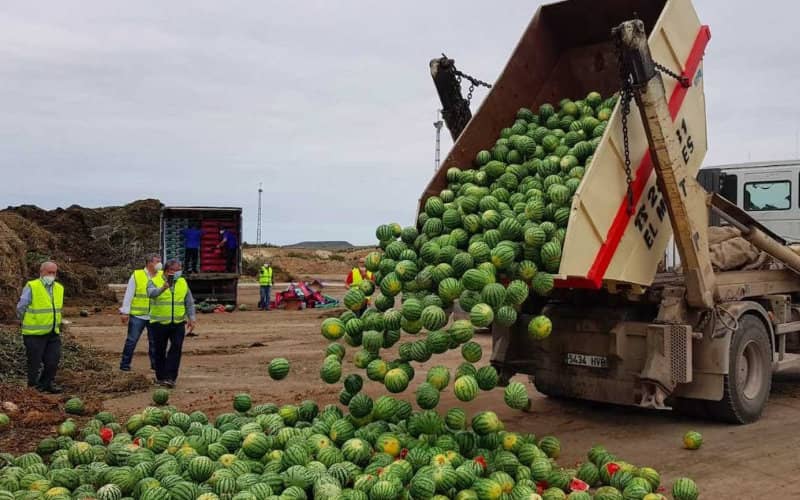 Spanish Farmers Urge EU to Curb Fruit Imports from Morocco, Other Nations
