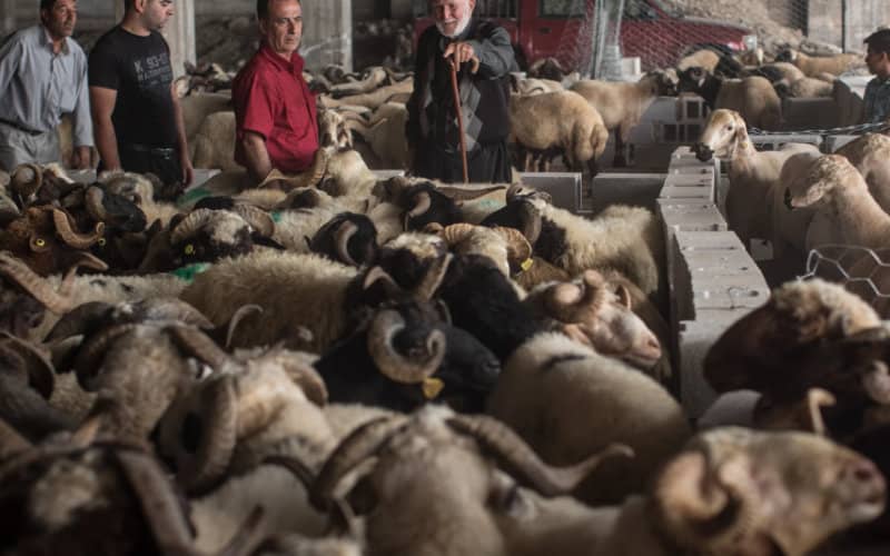Vox Criticizes Ceuta Government for Rescheduling Meeting Around Moroccan Eid al-Adha Date